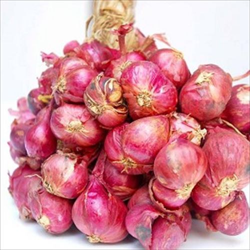 Shallot 500g